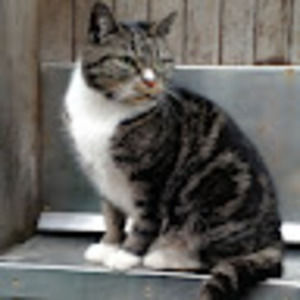 Meet your Posher, Jen